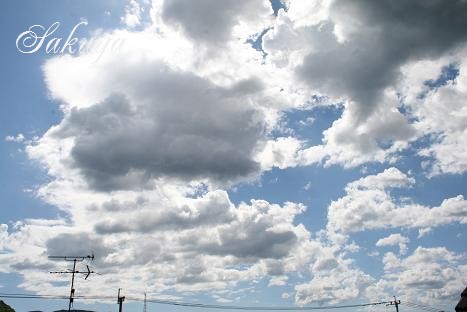 e0122194_1584334.jpg