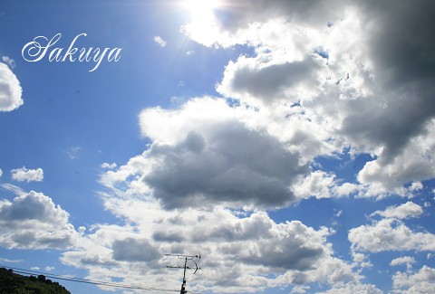 e0122194_159731.jpg