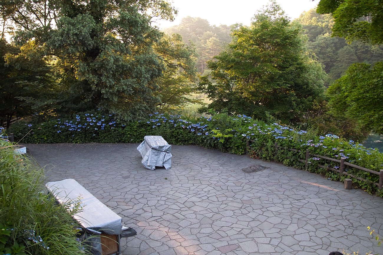 c0124795_8213033.jpg