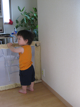 b0097898_15565650.jpg