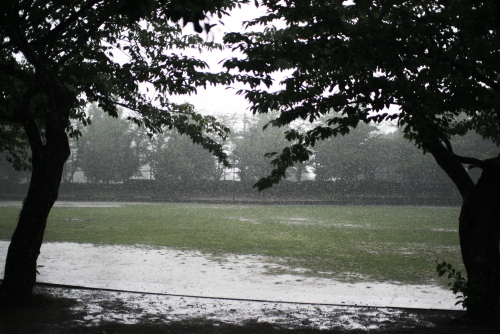 c0129498_0195724.jpg