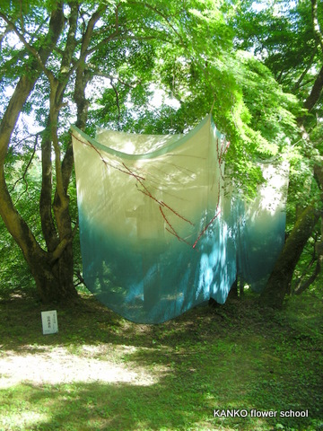 c0145299_052458.jpg