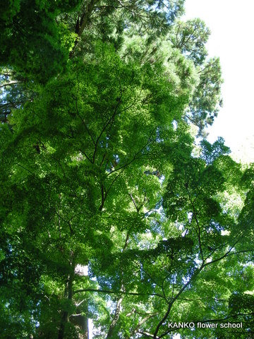c0145299_0541869.jpg