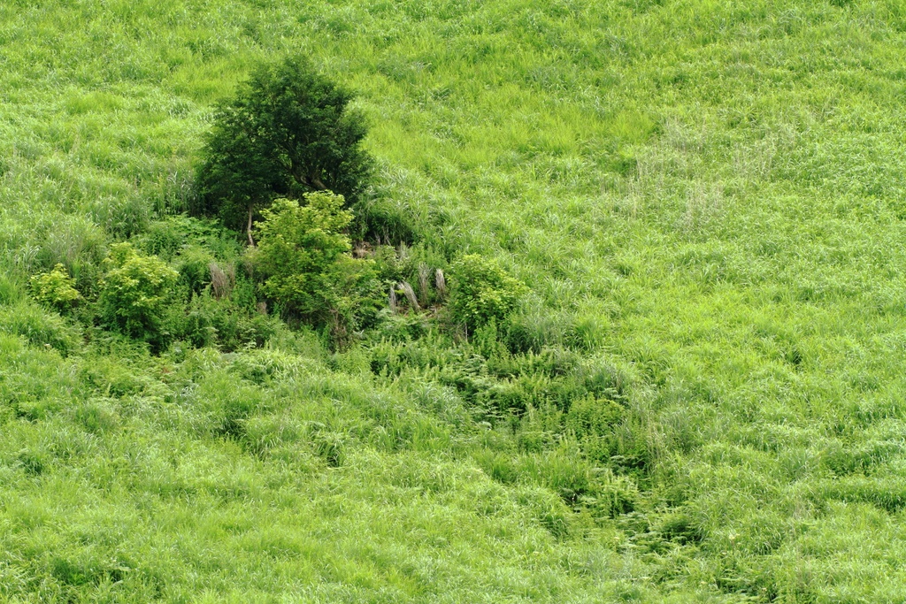 b0138101_816448.jpg