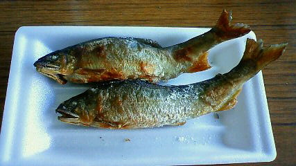 f0208202_11544462.jpg