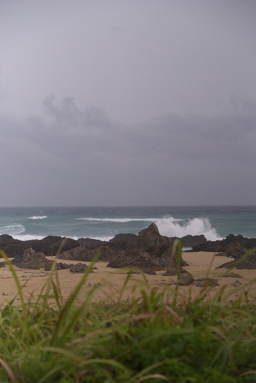 b0174905_7242681.jpg