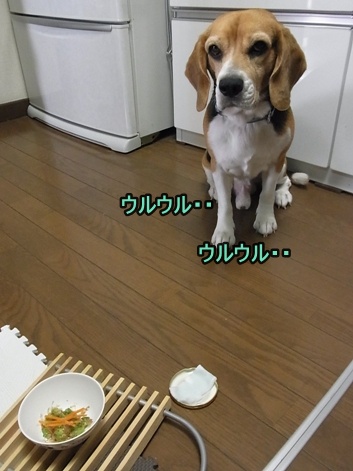 c0205806_17443031.jpg