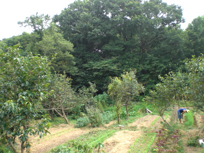 f0144707_15195612.jpg