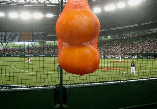 20100810.jpg