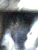 e0103408_1356060.gif