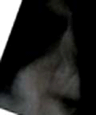 e0103408_13562225.gif