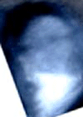 e0103408_1356353.gif