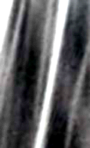 e0103408_1357392.gif