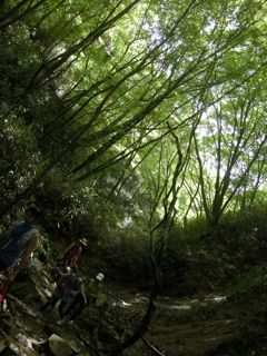 b0183911_13122868.jpg