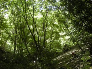 b0183911_1317581.jpg