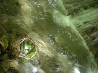 b0183911_13184472.jpg