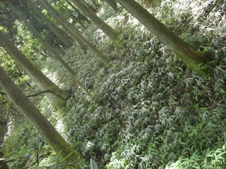 b0183911_13211195.jpg