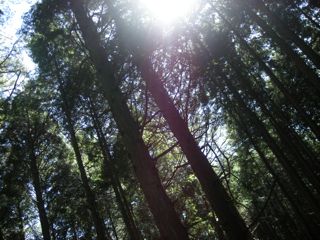 b0183911_13223796.jpg