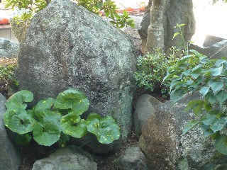 a0098027_15443411.jpg