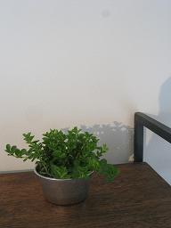 f0161329_1544420.jpg