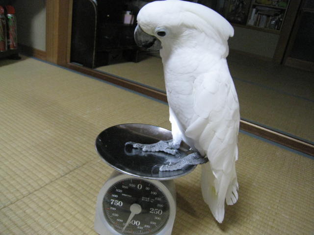 e0107730_21354116.jpg