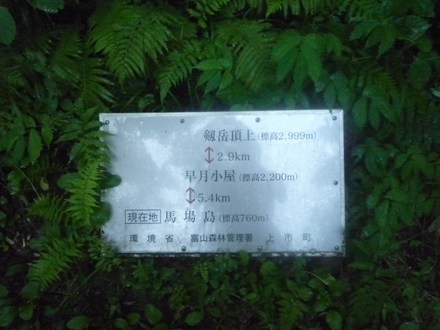 b0136931_10323813.jpg