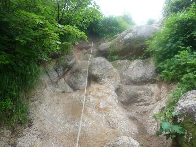 b0136931_11535275.jpg