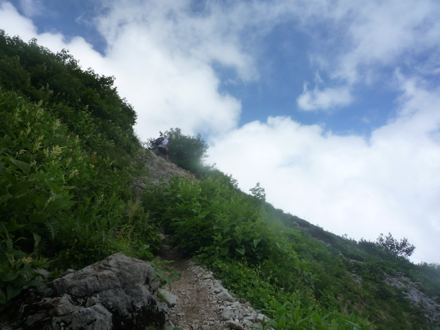 b0136931_1325624.jpg