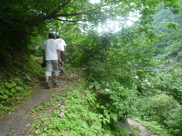 b0136931_1481618.jpg