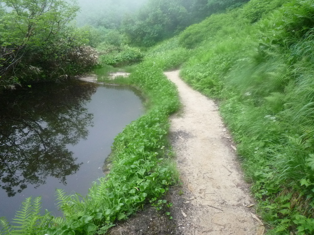 b0136931_2034081.jpg