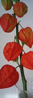 d0048332_1893170.gif