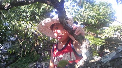 f0202633_8381667.jpg