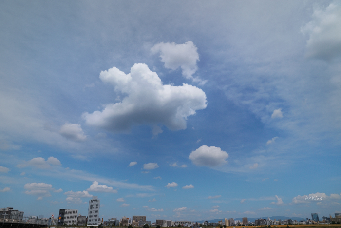 f0162334_18311065.jpg