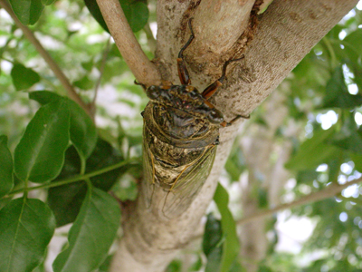 a0097735_23191467.jpg
