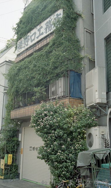 a0009142_22204044.jpg