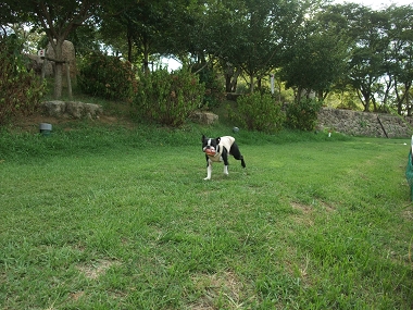 e0126046_2223940.jpg