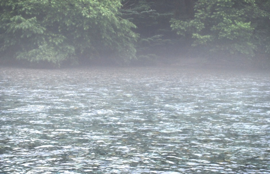 e0009147_19362416.jpg