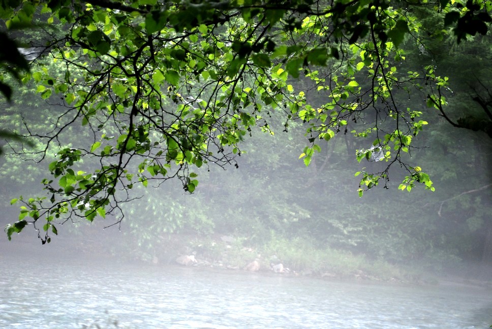 e0009147_19365955.jpg