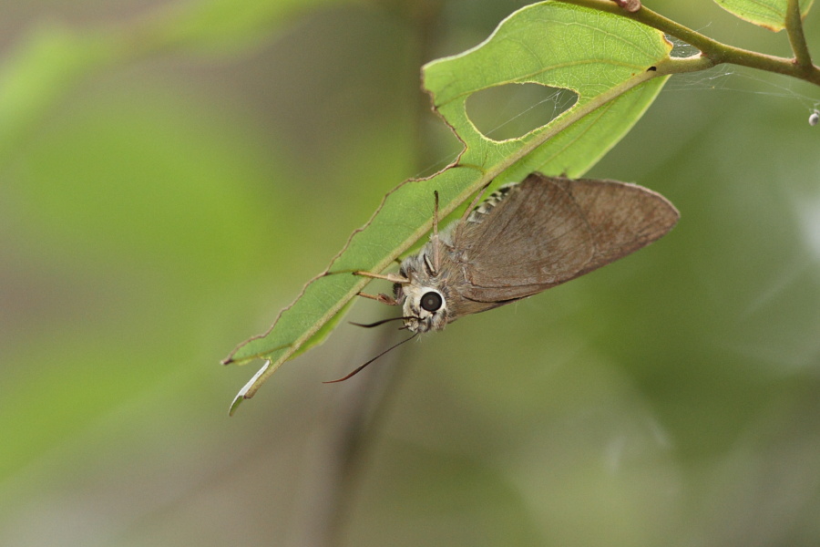 a0094850_1447347.jpg