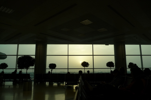 e0002850_20240.jpg