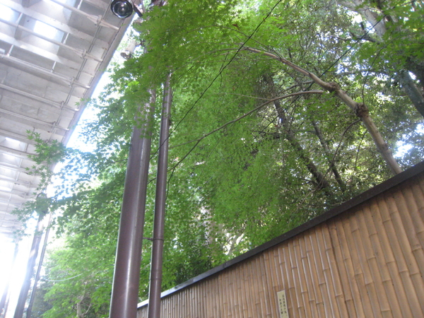 c0073152_2244956.jpg