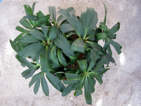 c0147952_0275761.jpg
