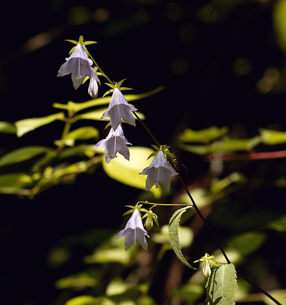 d0091754_0511678.jpg