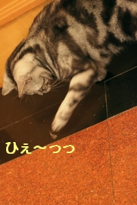 c0171358_12534562.jpg