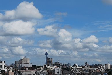 d0034659_14432411.jpg