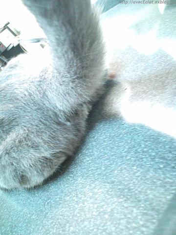 c0200365_22144544.jpg