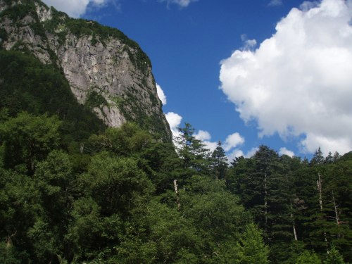 b0050067_29615.jpg