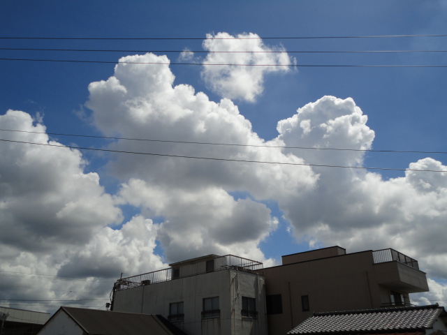 d0109373_19251323.jpg