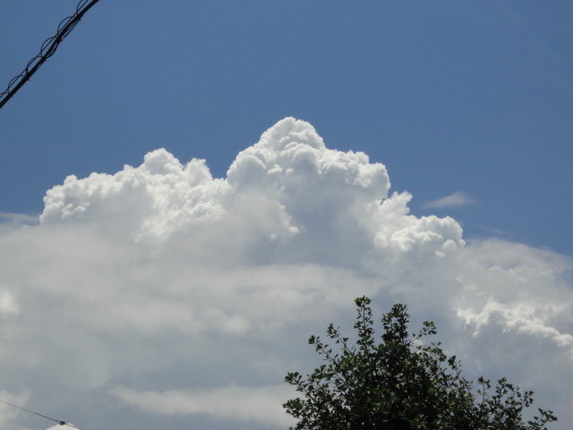 d0109373_2075491.jpg