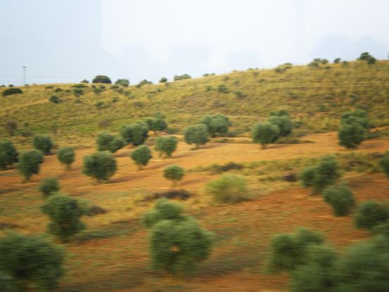 b0137274_2912100.jpg